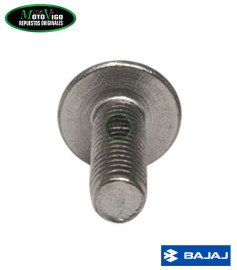 Stainless Steel Screw
