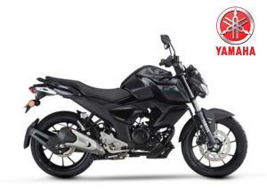 FZ Version 3.0